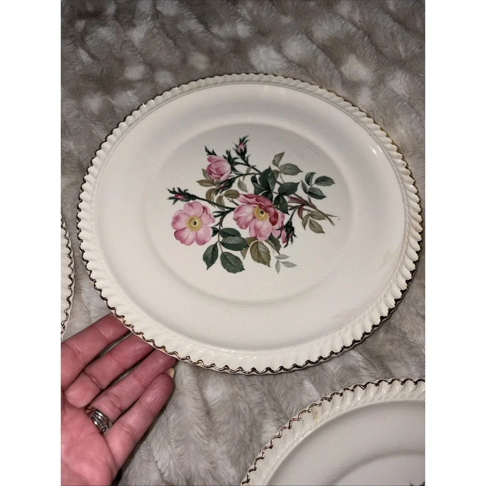 Harker Pottery Co. 22 kt gold  Wild Rose (Royal Gadroon) Dinner Plate Lot Of 6